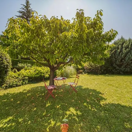 Piscine Eau Salee Avec Jeux Multiples * Saint Ismier